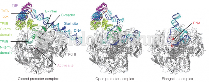 A model of transcription initiation as deduced from the crystal structure of TFIIB complexed