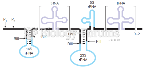 Structure of E. coli 30S pre-rRNA