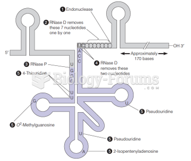 Modification steps (1–4) that occur in maturation of E. coli tRNATyr from its transcript