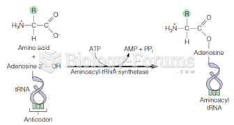 Activation of amino acids for incorporation into proteins