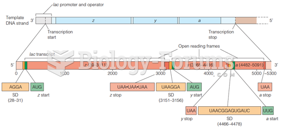 The lac operon mRNA
