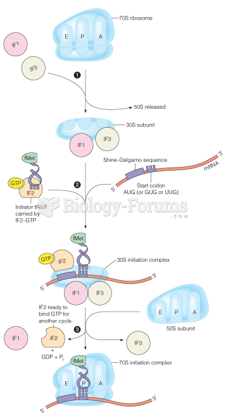 Initiation of protein biosynthesis in prokaryotes