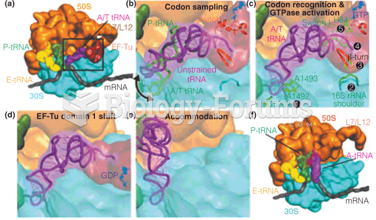 The ribosomal decoding pathway