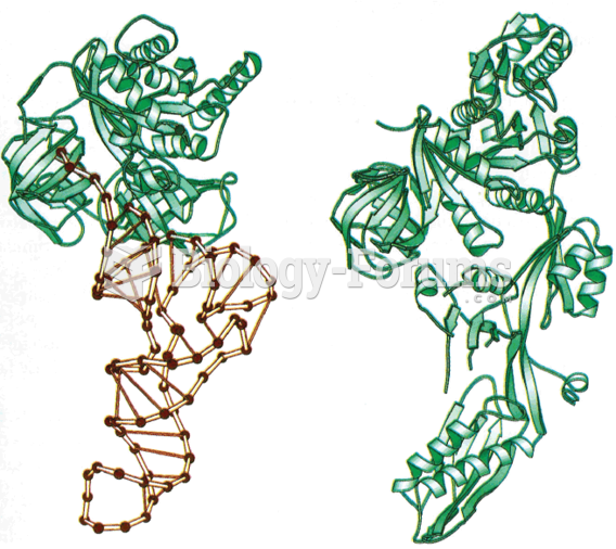 The striking structural similarity between the translocation factor EF-G (right) and the ternary