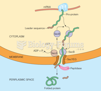 A current model for protein secretion by prokaryotes