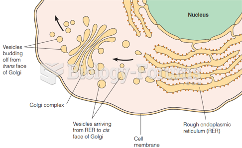 Transfer from the rough endoplasmic reticulum (RER) to the Golgi complex