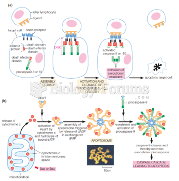 Extrinsic and intrinsic signaling pathways leading to apoptosis