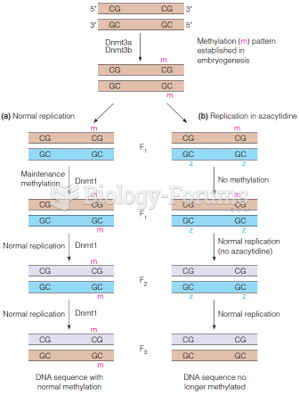 De novo and maintenance methylation of DNA and the effect of 5’-azacytidine upon DNA methylation