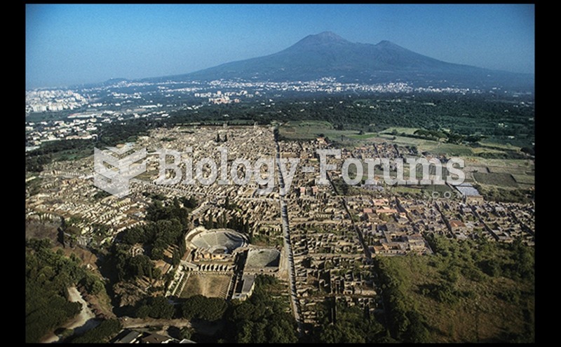 Aerial View of the Ruins Of PompeII