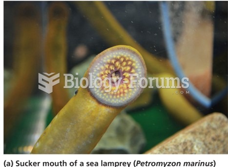 Sea lampreys: petromyzon marinus "بتروميزون مارينوس"