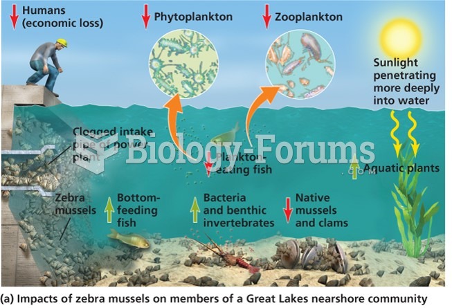 Impact of zebra mussels on members of a Great Lake nearshore