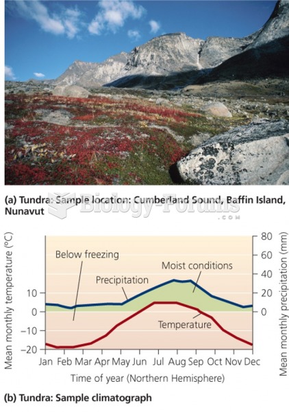 Tundra terrestrial biomes