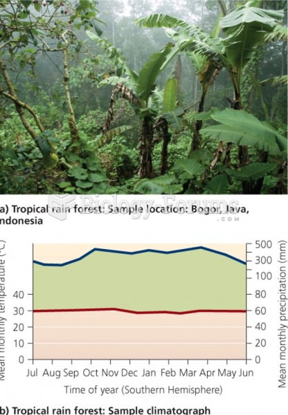 Tropical rain forest "الغابات الاستوائية المطيرة"