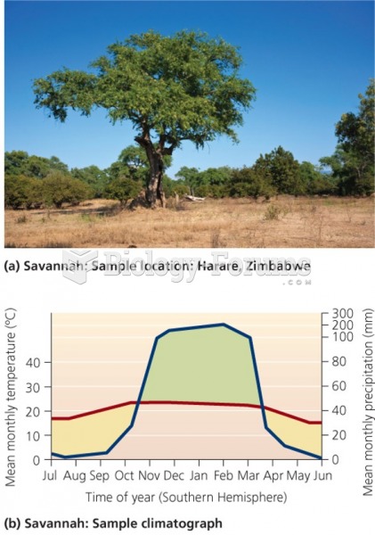 Savannah "السهل العشبي أو السافانا"