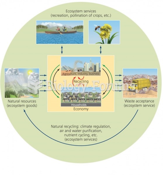 Economic activity as viewed by environment and ecological economists