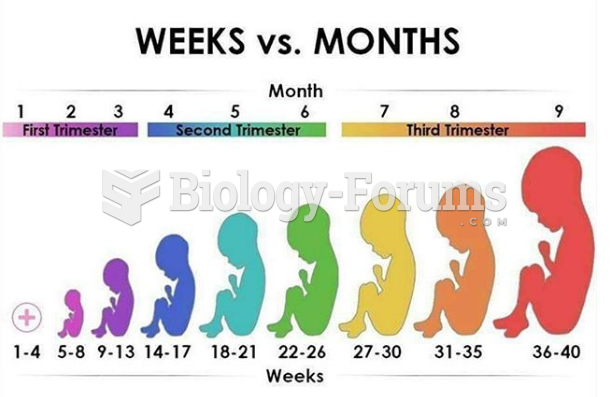 Fetus Development Weekly vs. Monthly