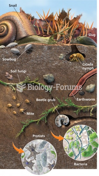 Soil as a system