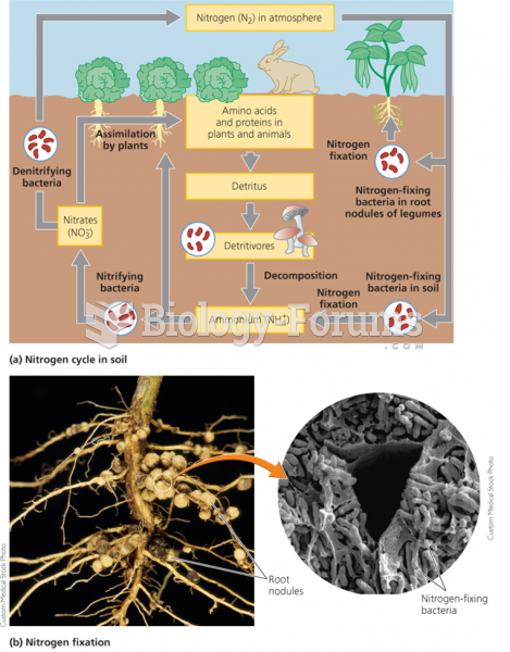 Soil is a crucial part of the nitrogen cycle