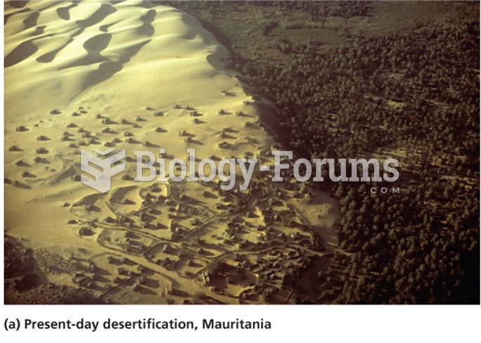 Desertification damages formerly productive lands
