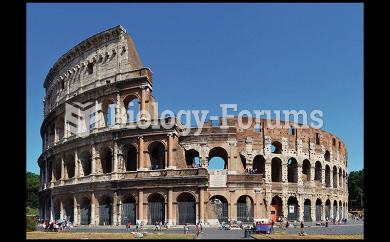 Outer Wall of The Flavian Amphitheater (Colosseum)