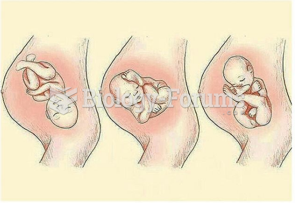 Baby position during the 30th week of pregnancy