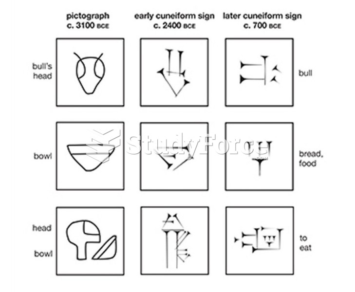 Examples of Cuneiform Writing