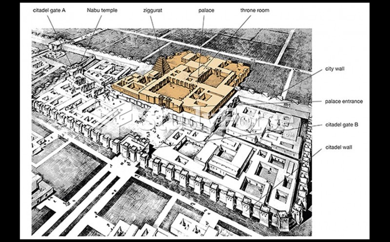 Reconstruction Drawingof the Citadel and Palace Complex of Sargon II