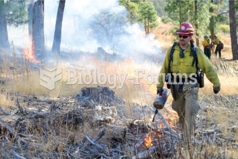 The Nature of Environmental Science: A fireman battles with a forest fire