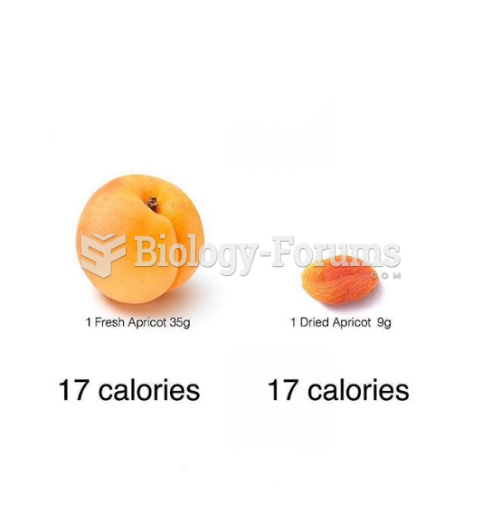 Fresh Fruit vs. Dried Fruit