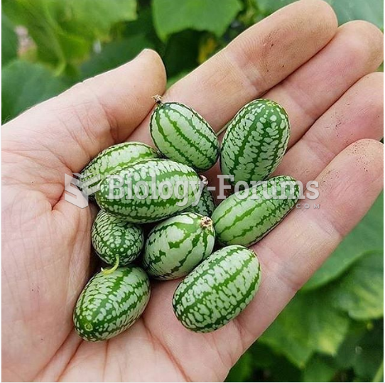 Cucamelons: Tiny Watermelons