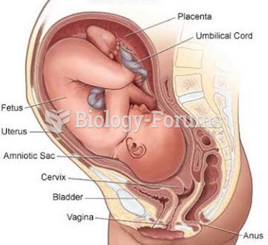 Fetus in Utero