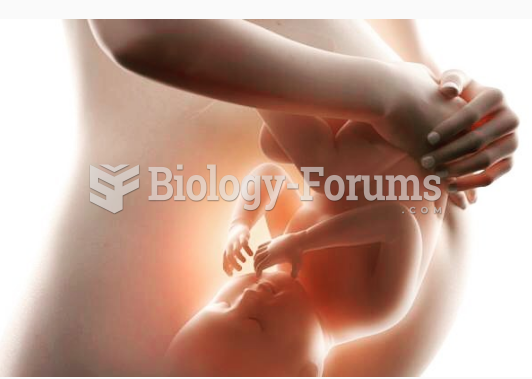 Development of a Baby in 36th Week