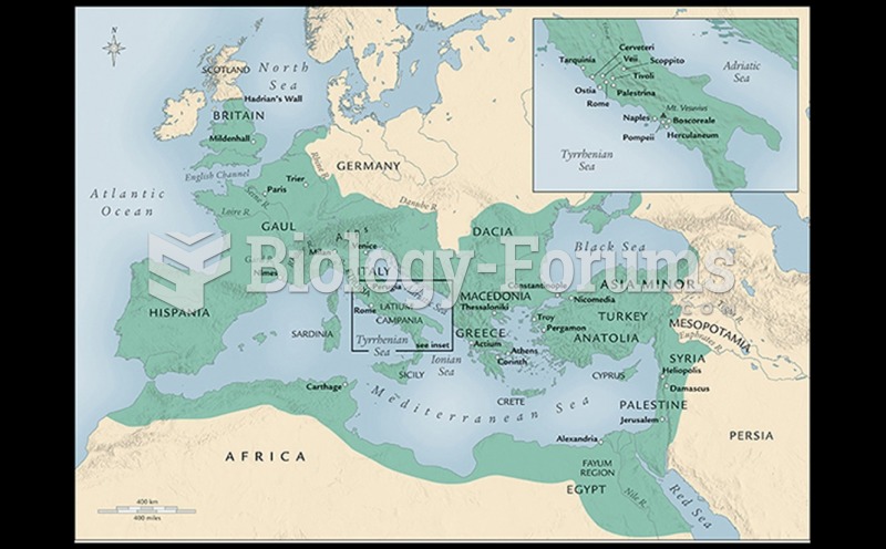 The Ancient Roman World
