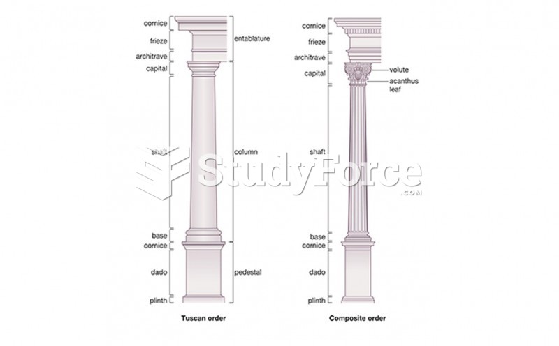 ELEMENTS OF ARCHITECTURE: Roman Architectural Orders