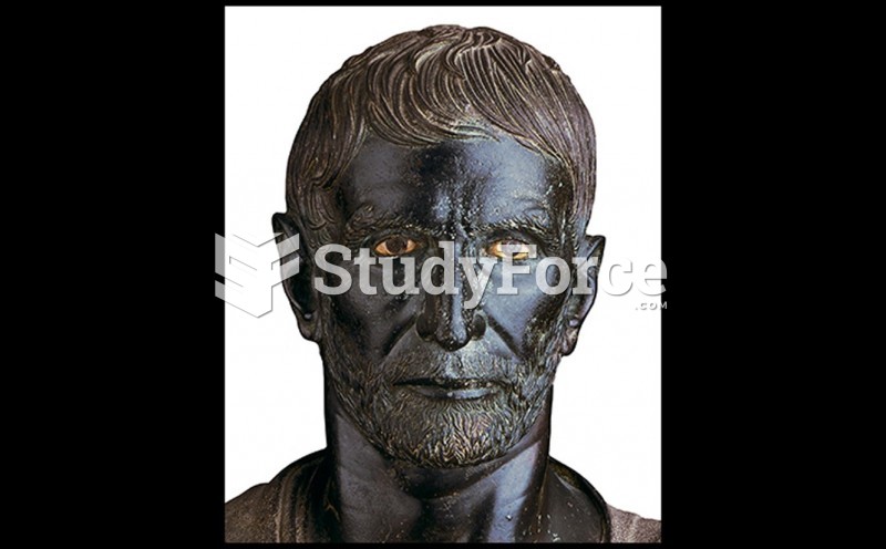 Head of a Man (Traditionally Known as "Brutus")
