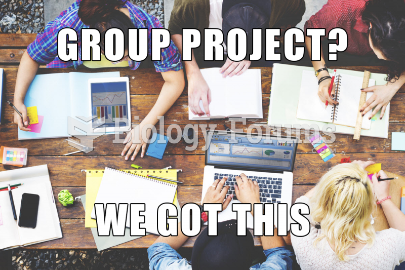 Group Project Meme