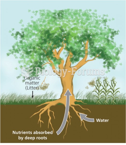 The movement of water and nutrient through a tree
