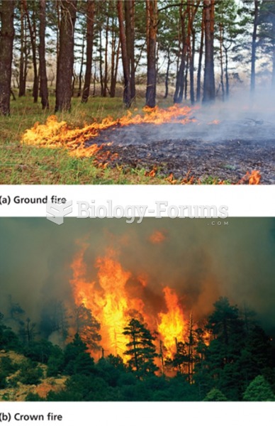 Forest Fire Management