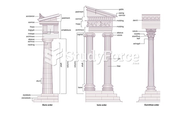 ELEMENTS OF ARCHITECTURE: The Greek Orders