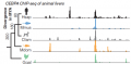 Binding site variation for transcription factor CEBPA along gene PCK1 as determined by ChIP