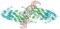 Structure of the Dnmt3a heterotetramer complexed with a DNA 25-mer
