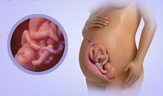 Frequent urination during pregnancy كثرة التبول أثناء الحمل