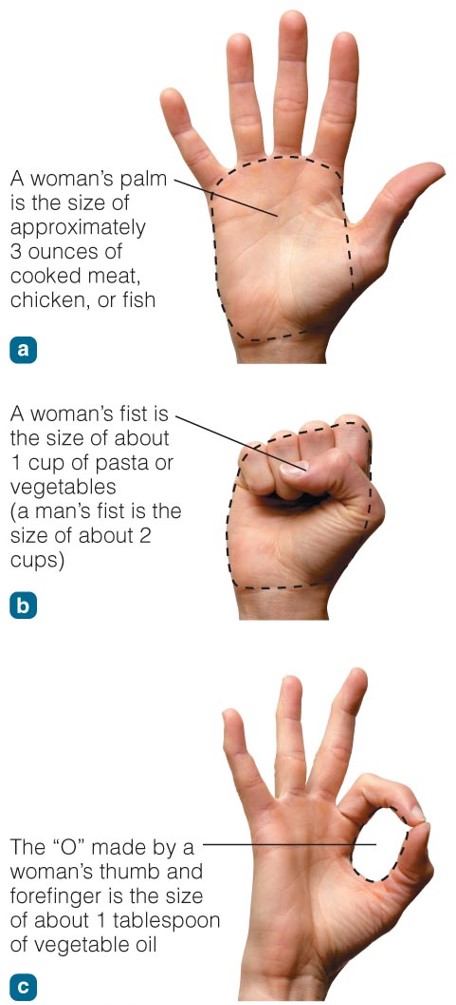 What’s a Serving? Eat with Your Hands! Your hands can guide you in estimating portion sizes