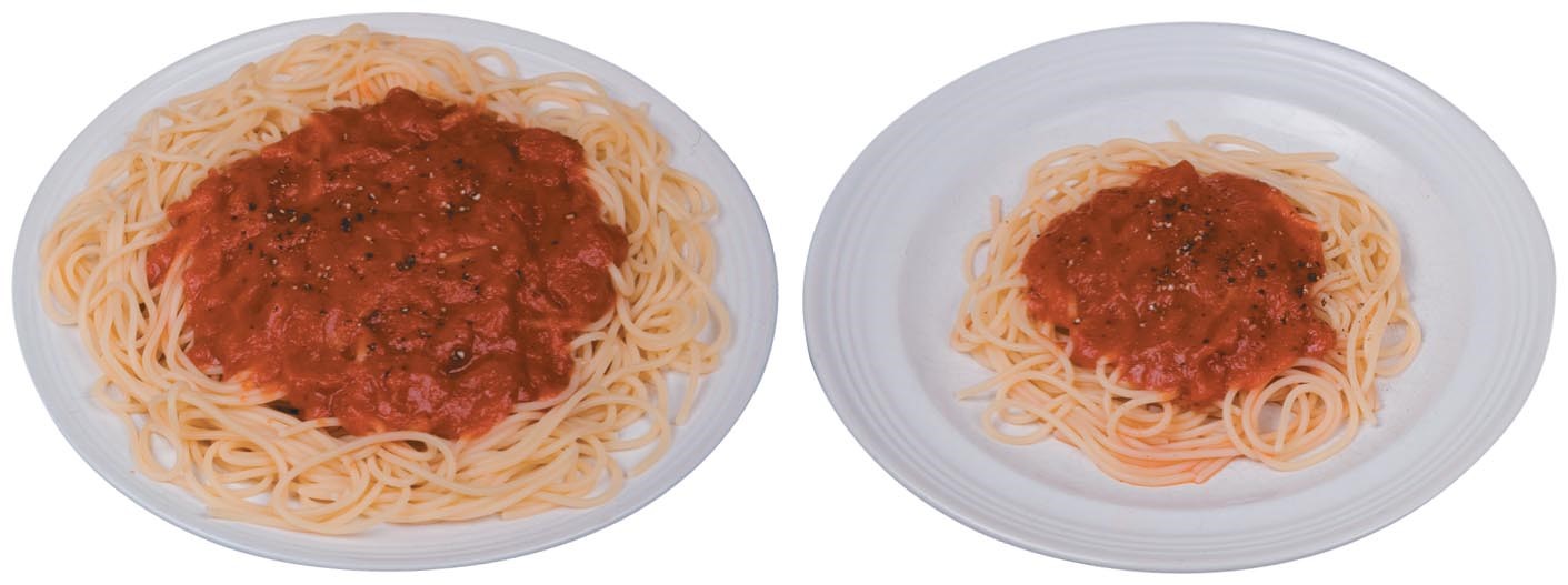 Comparison of Portion Sizes of Common Foods