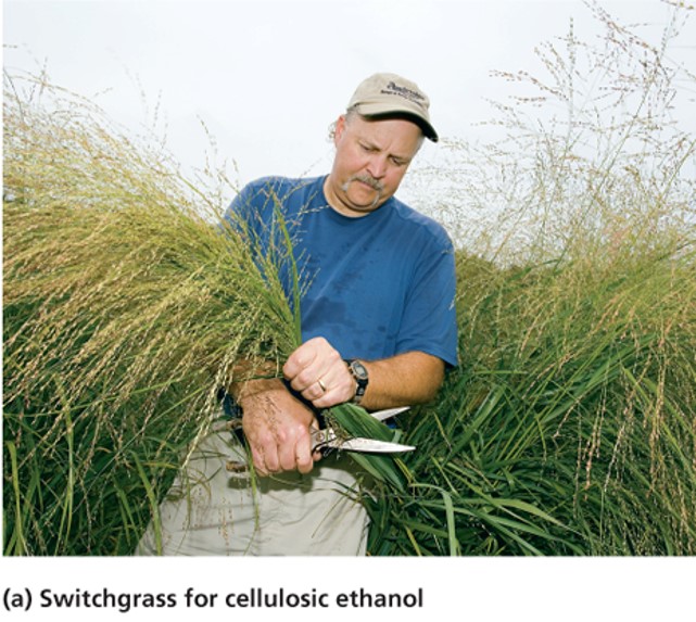 Cellulosic Ethanol