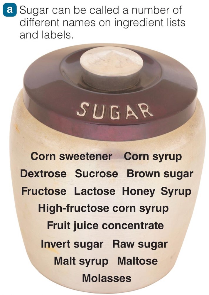 Sugar: Finding Added Sugars on the Label A food