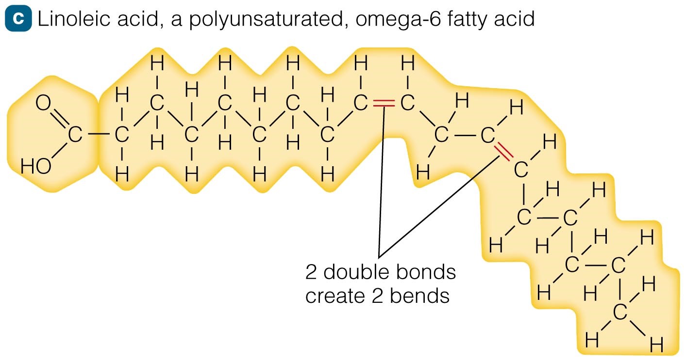 Linoleic acid