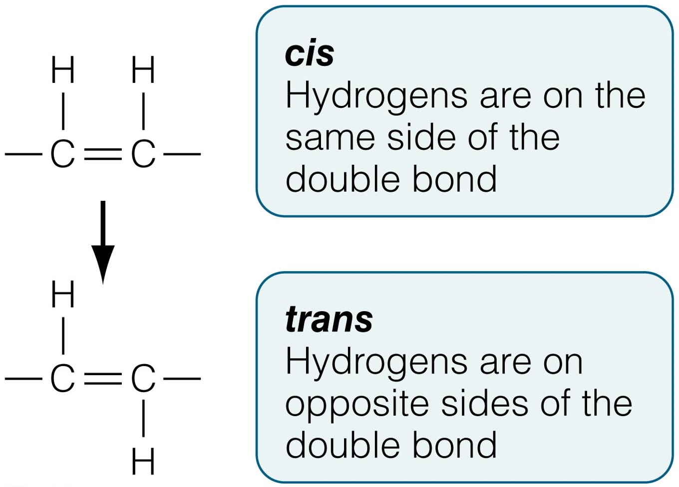 Creating Trans Fatty Acids Hydrogenating, or adding hydrogen