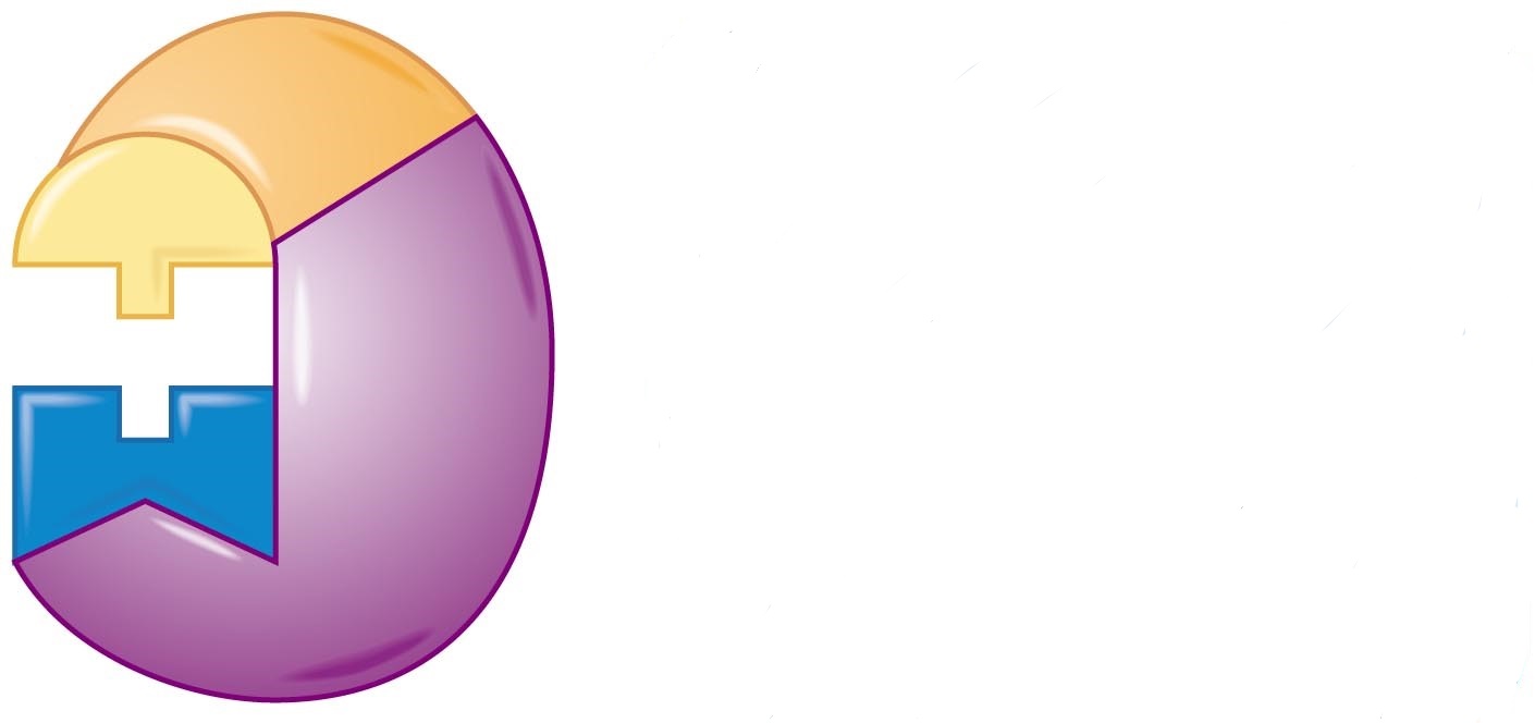 How B Vitamins Function as Coenzymes (b)