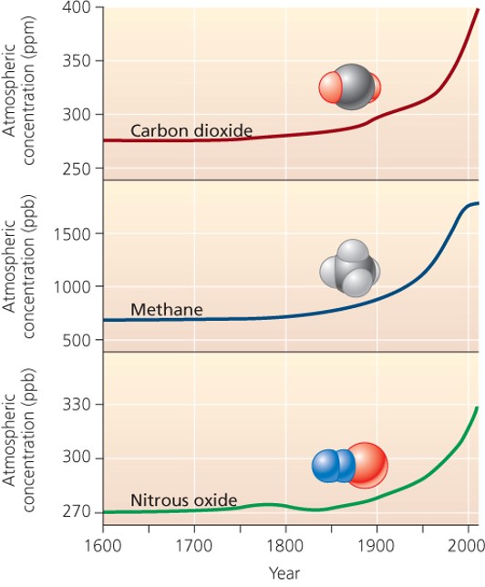 Carbon dioxide: The anthropogenic greenhouse gas of primary concern